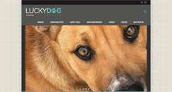 Desktop Screenshot of luckyrescue.org